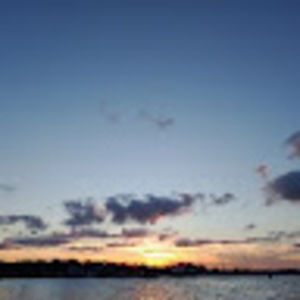 Meet your Posher, Shelby